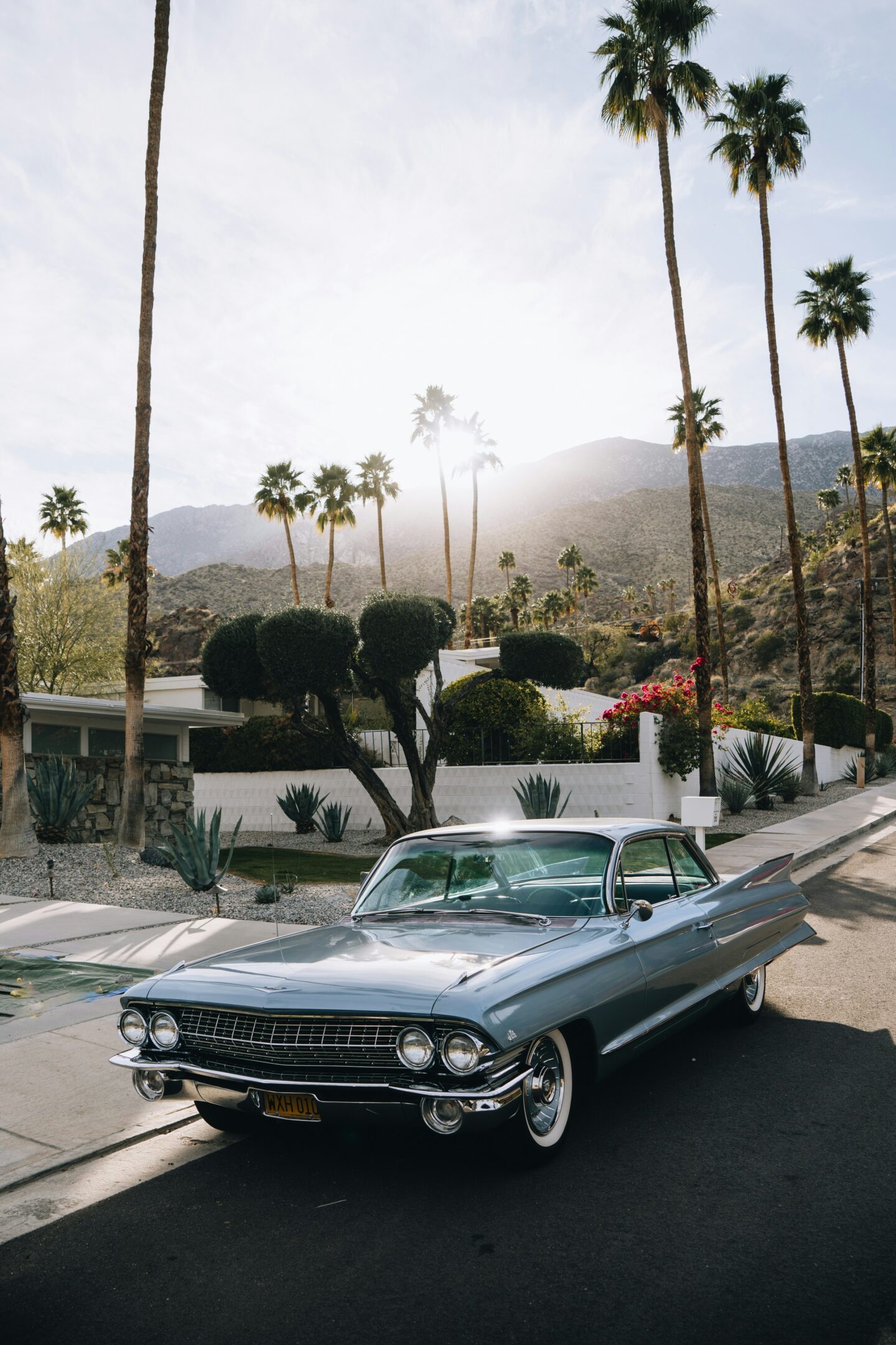Palm Springs 